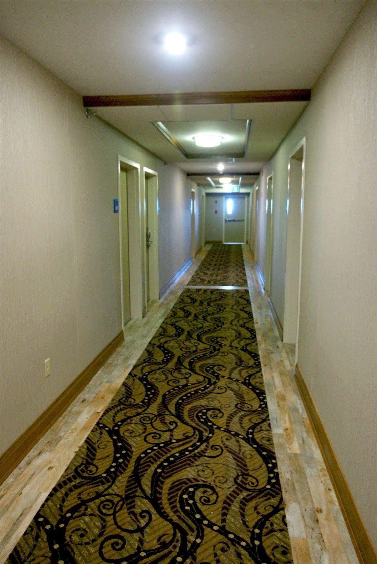 Holiday Inn Express Hotel & Suites Uptown Fredericton By Ihg Ngoại thất bức ảnh
